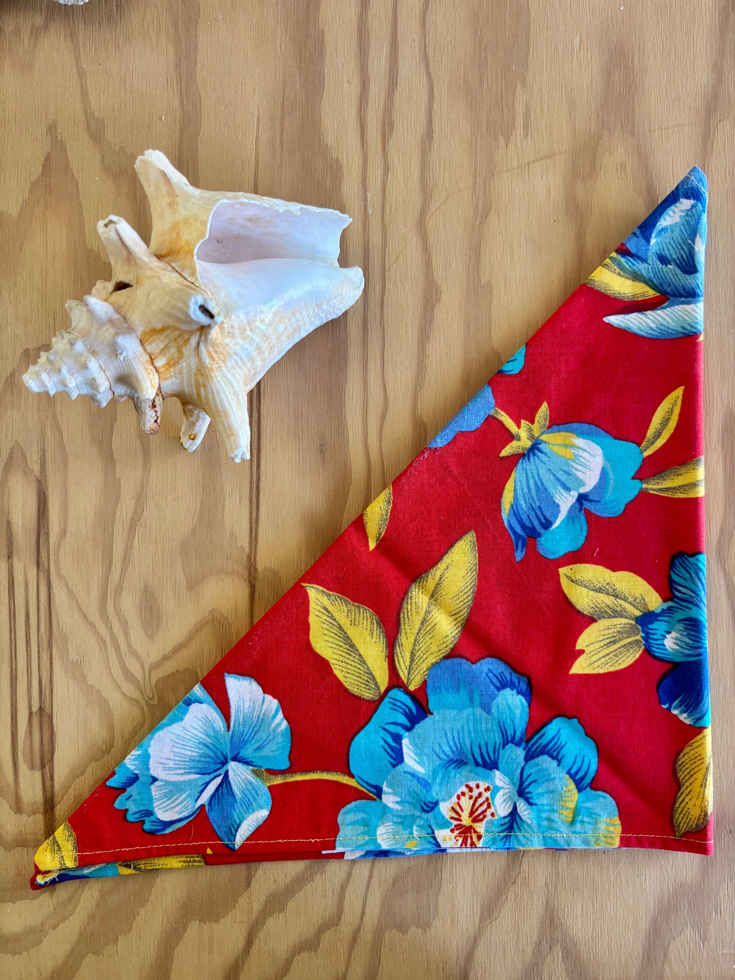 Bandana Amar